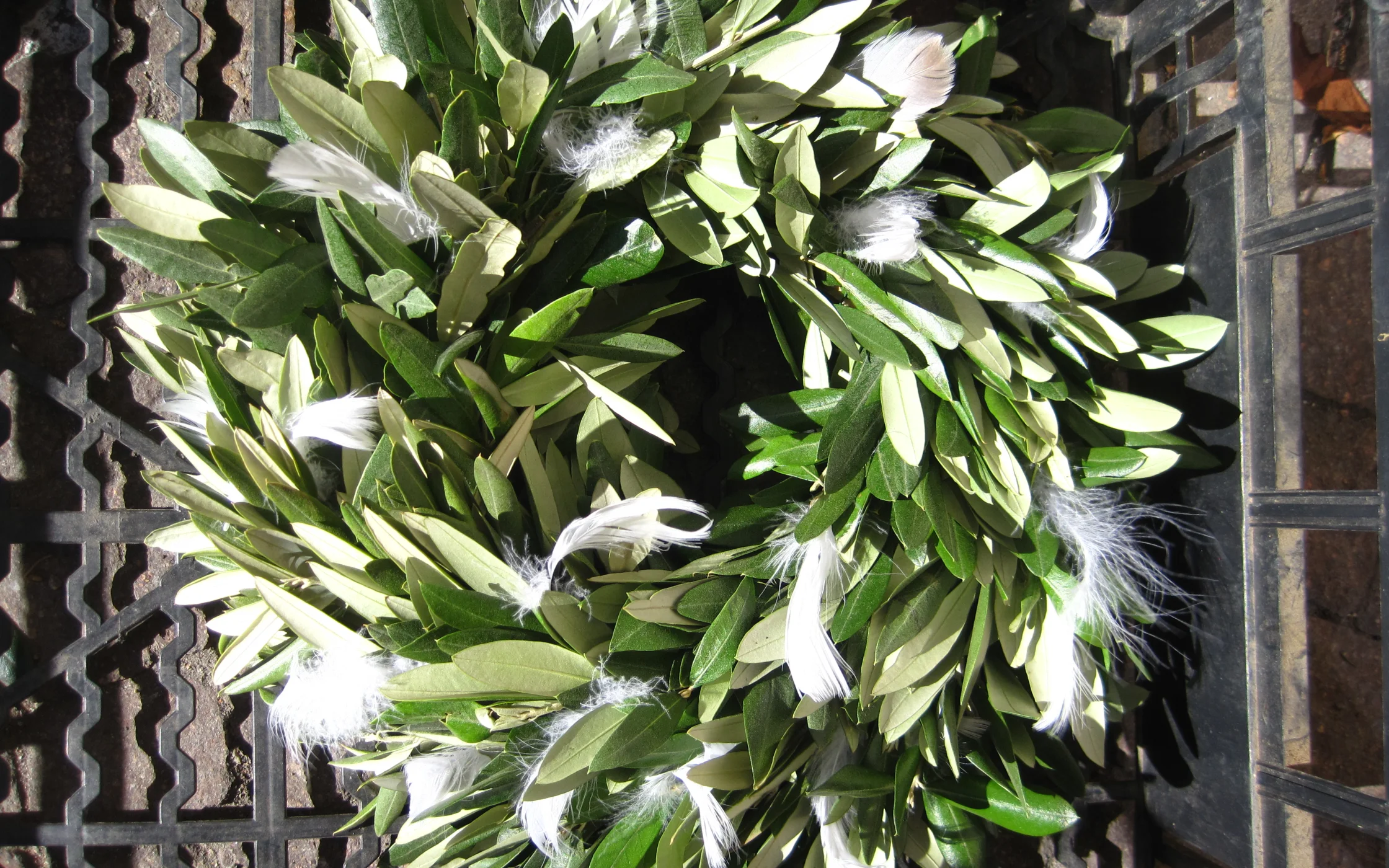 IMG_0247 - Kopie.JPG